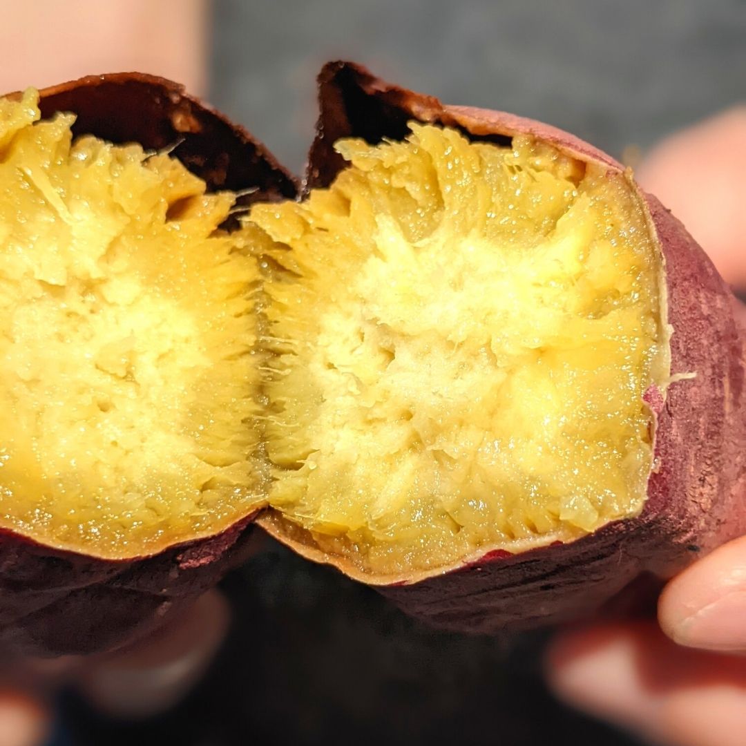 つらさげ芋の『糖蜜焼きいも 』 完成までの軌跡。うのばい地区のさつまいもは、桜島火山の恩恵を受けた栄養豊富な土壌で育ち、芋自体に大地の恵みがたっぷり凝縮されています。収穫されたさつまいもは標高550mの高地で吊らさげながら熟成させることで、高隈山から吹き抜ける冷たい風を全身で受け、約1ヶ月後、奇跡とも言える恵まれた環境での寒熟を果たします。こうして寒熟した芋を、絶妙な温度加減で焼き上げることで、つらさげ芋の『糖蜜やき芋 』が完成します。